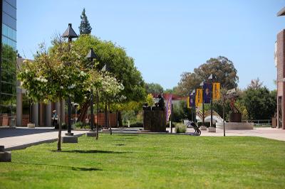 An open grassy area is located next to the outdoor patio of Lundring Events Center.