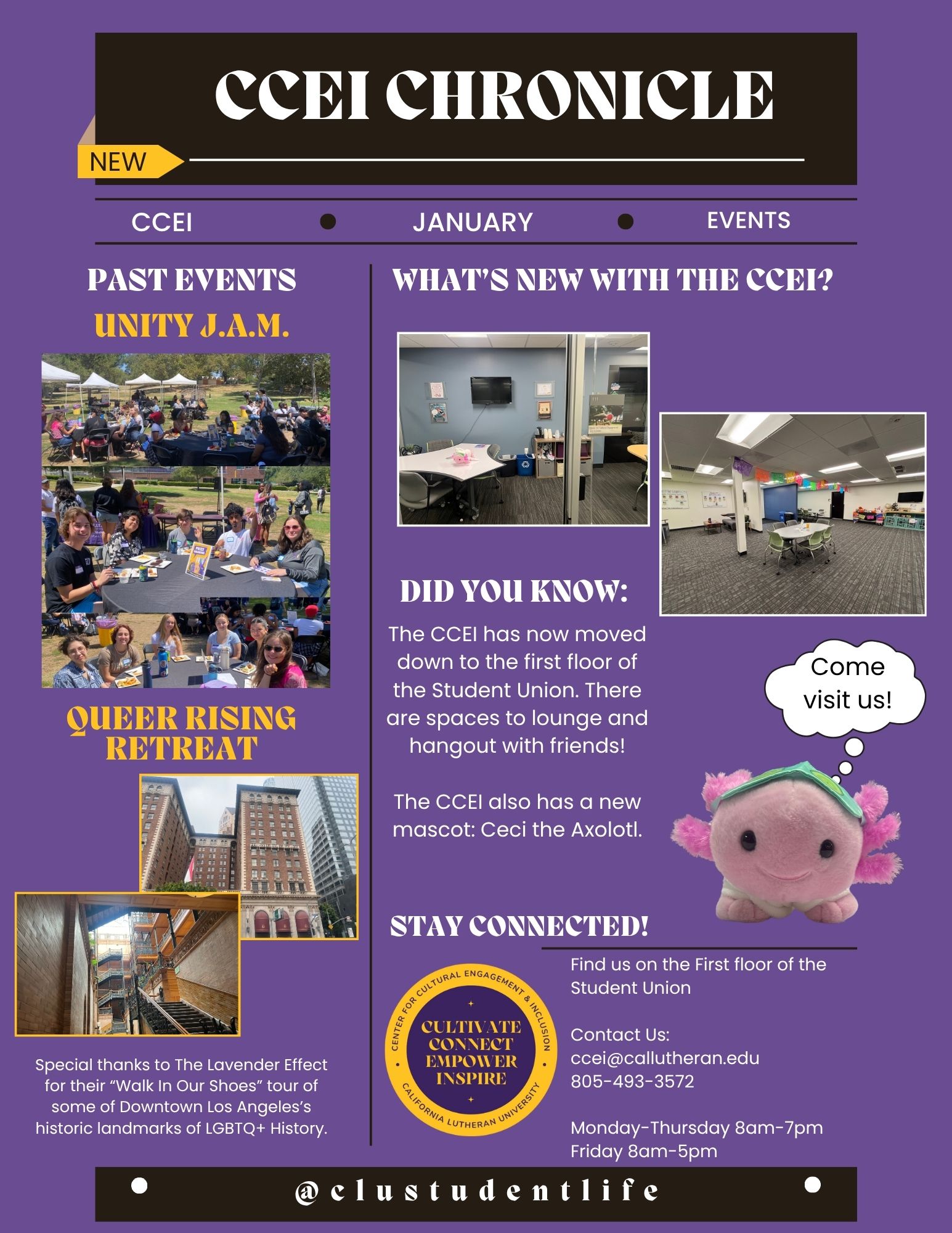 CCEI Newsletter Jan25 (2)