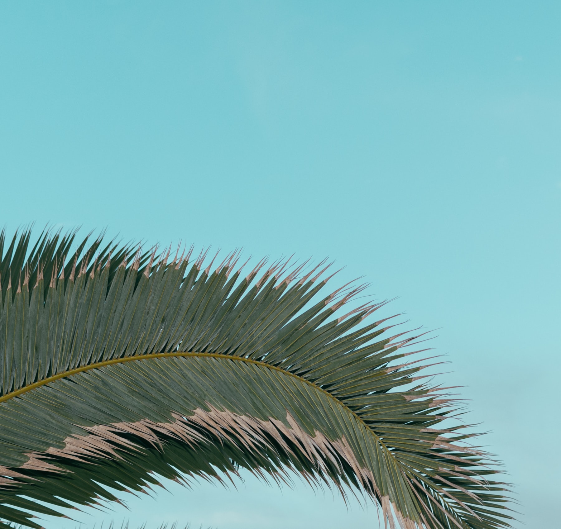 plane
